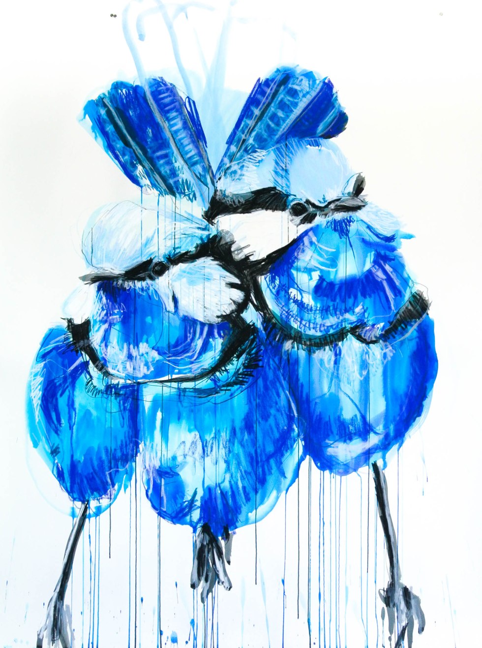 POTTER_Splendid Fairywren Couple_April15.highres