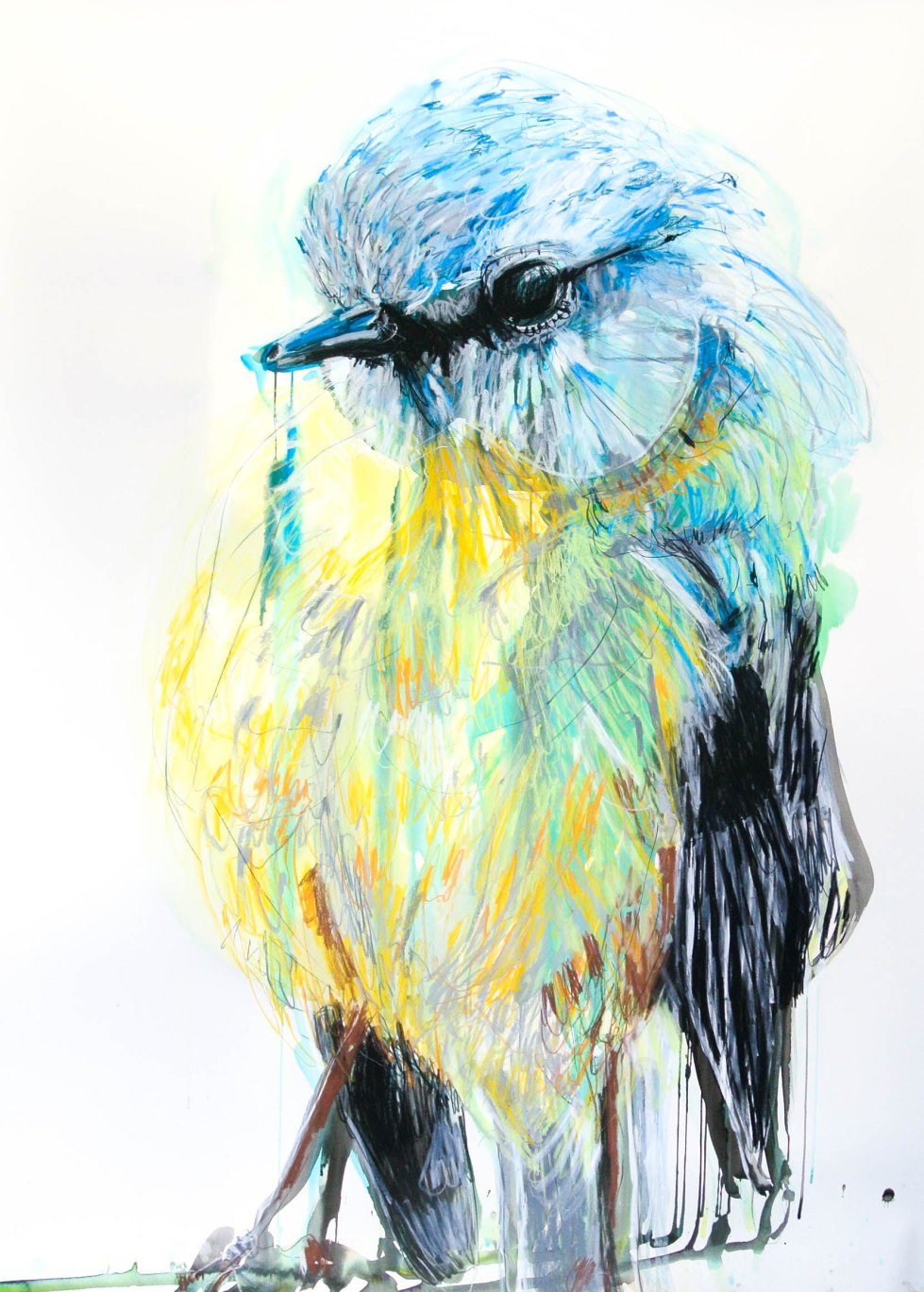 POTTER_Yellow Robin_April15.highres