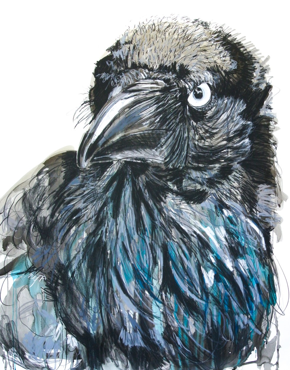 potter_meaghan_ah-aah-aaah-australian-raven-jpg