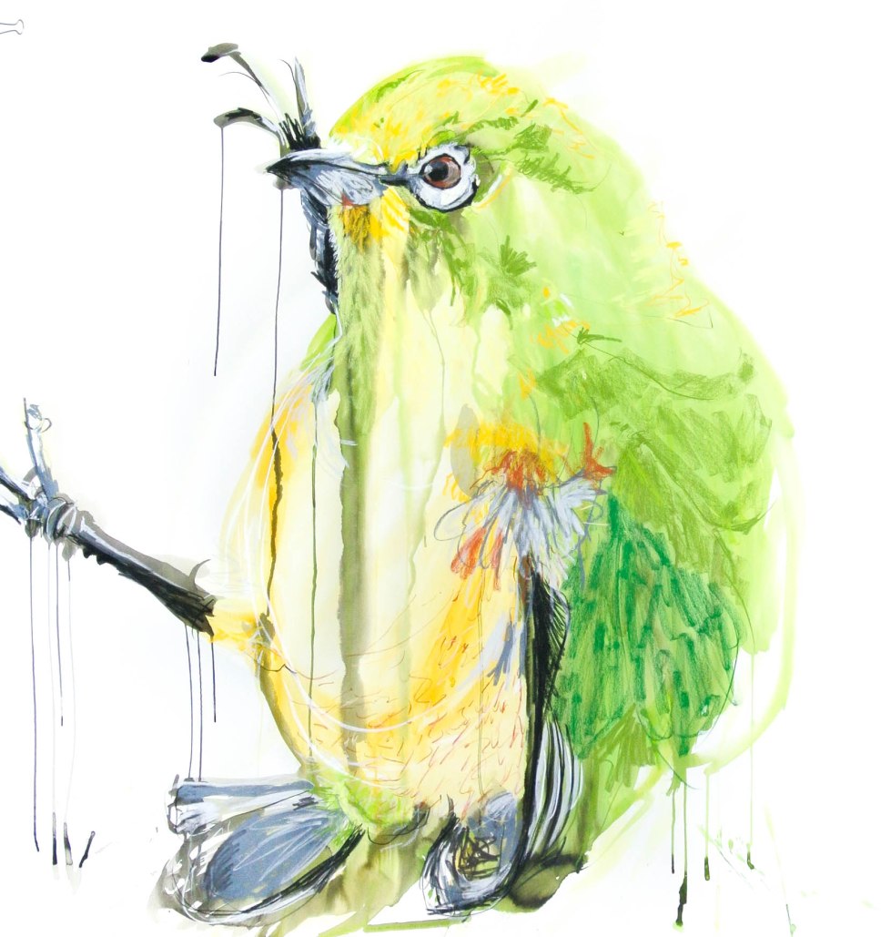 silvereye-114by123cm-29nov16