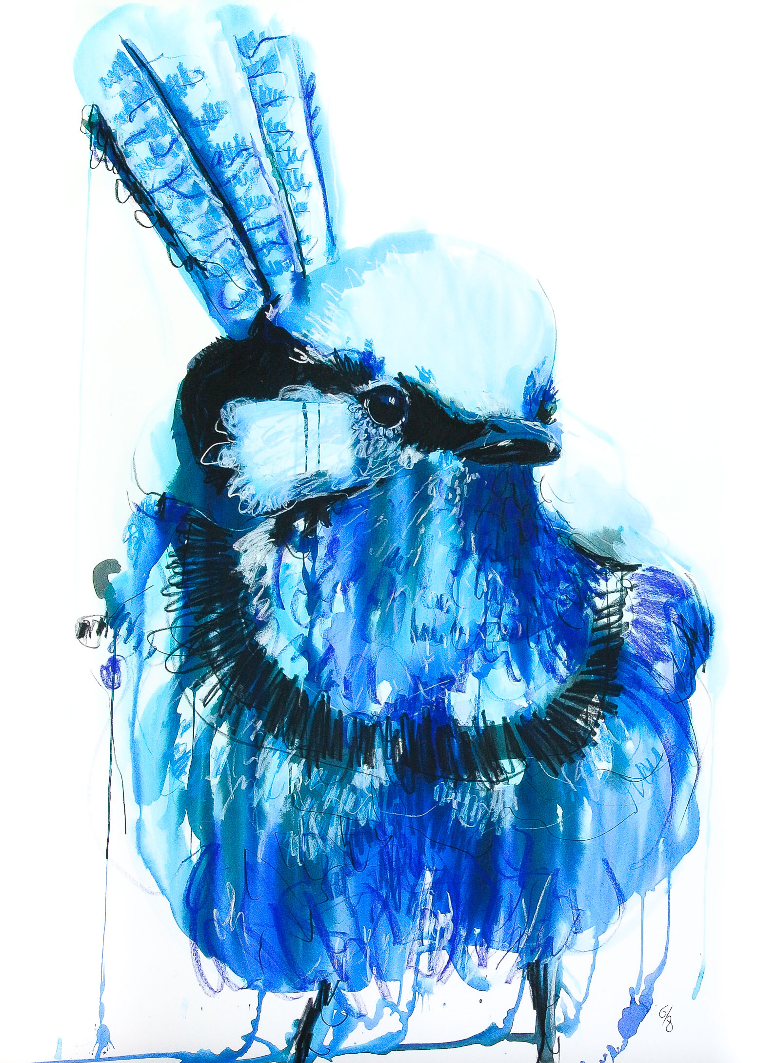 SplendidFairywren_80by110_6of8_17