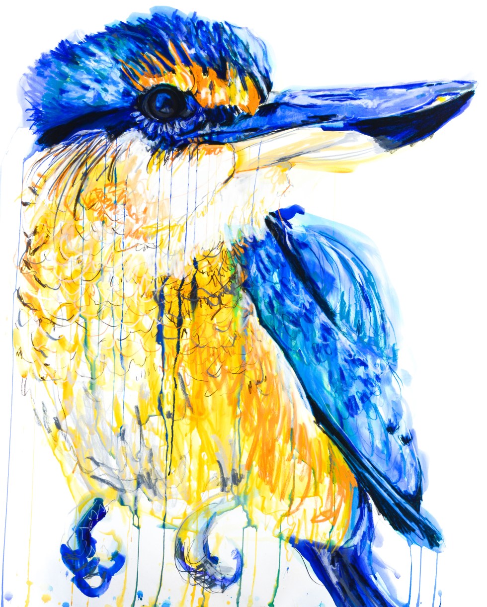 SacredKingfisher_114by150_2017