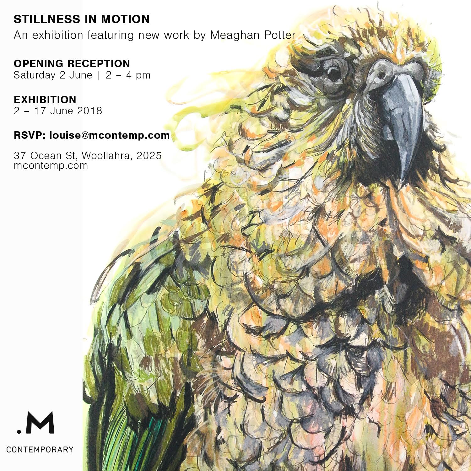 stillnessinmotioncorrected