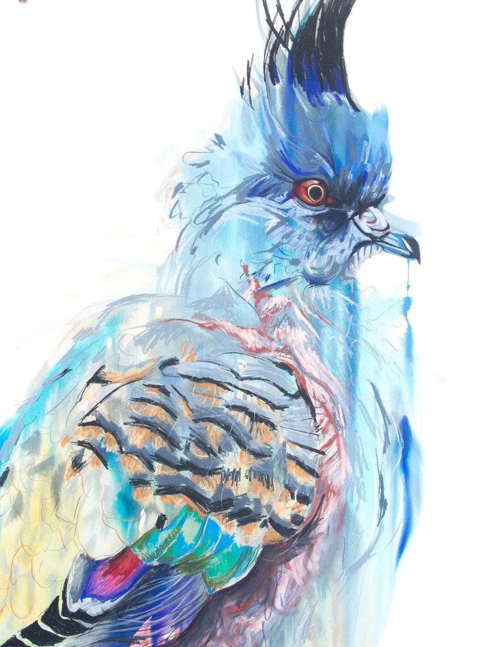 Spiky Boy (Crested Pigeon)_120by90_April18