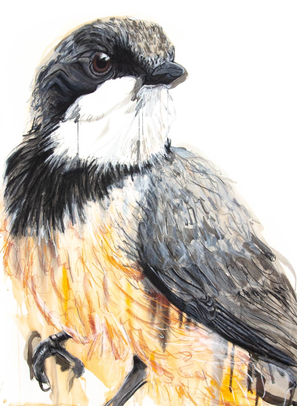 Rufous Whistler_120by90cm_Apr19