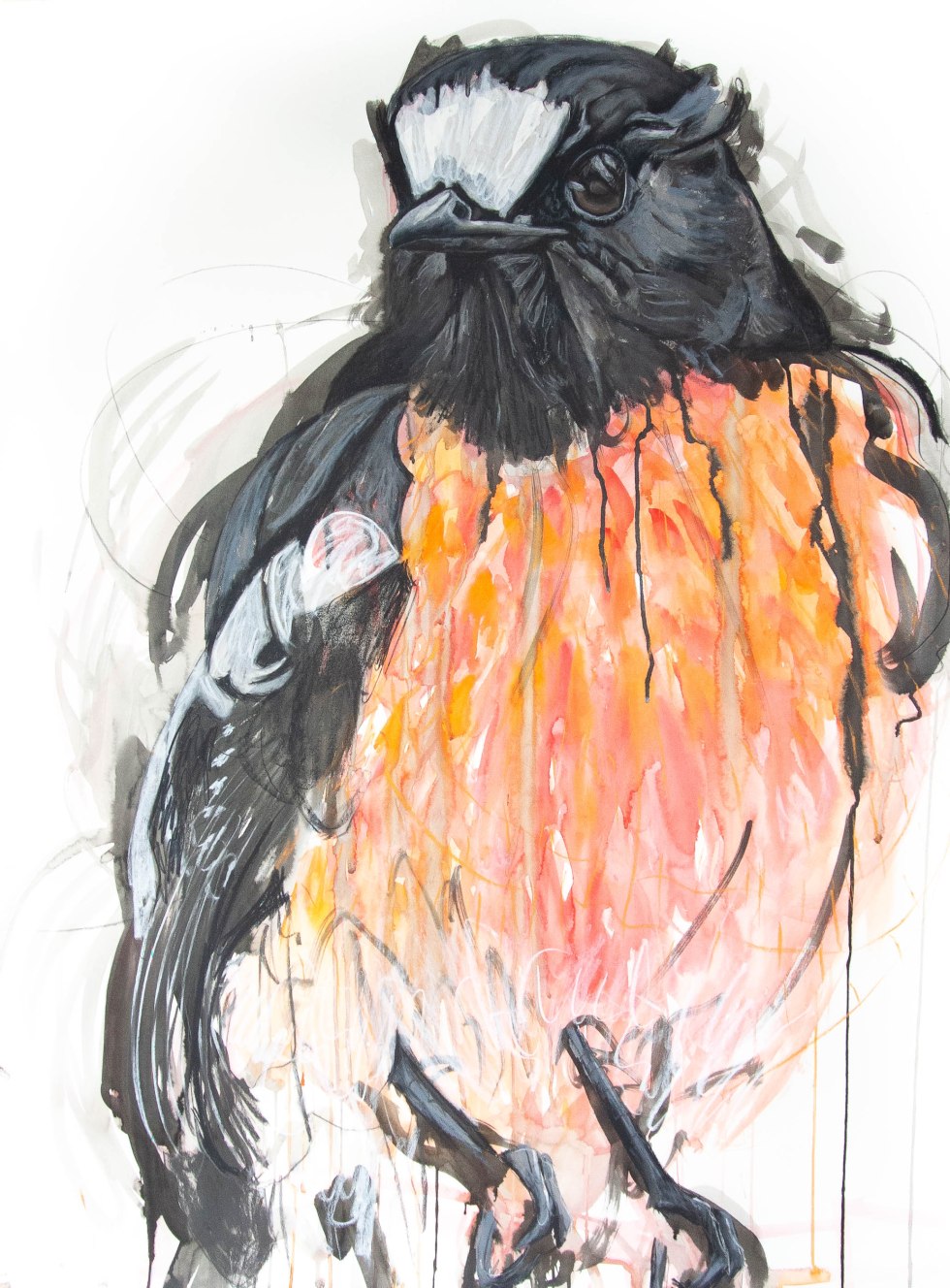 Scarlet Robin_120by90cm_Apr19