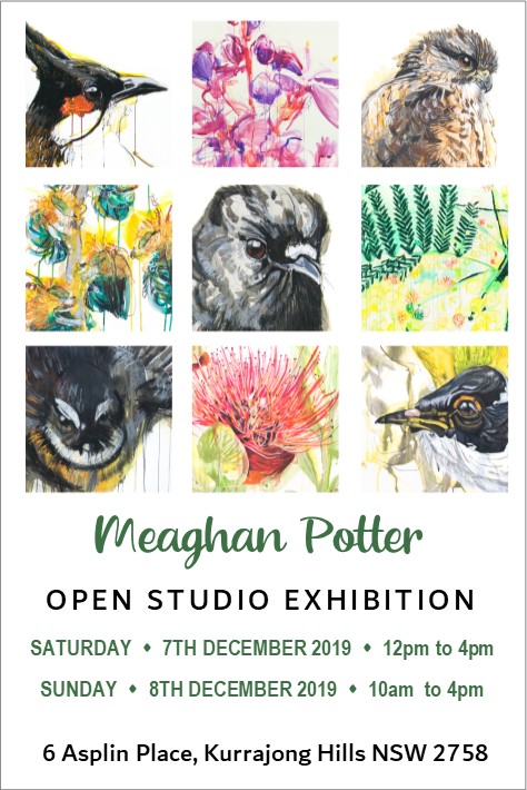Meaghan Potter Open Studio Exhibition Invite FRONT